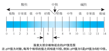花卉