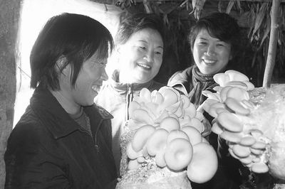 河南日报农村版