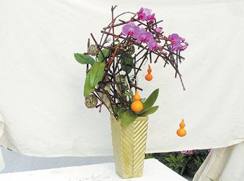 花卉