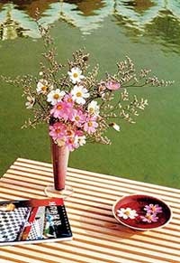 花卉