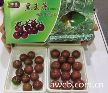 黑王子番茄