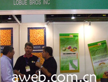 拉布拉多兄弟公司