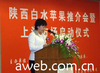 白水县县长