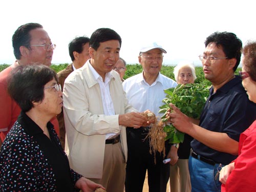 马宏玉向来靖边考察的客人介绍高海则专用薯生产