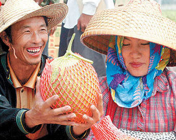 海南乐东被评为“中国果菜无公害十强县”