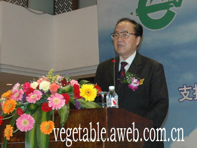 十七大精神到底是什么