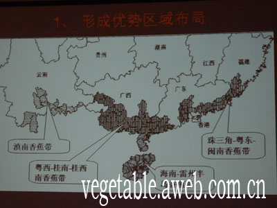 华南热带农业大学教授陈业渊：香蕉产业的现状与展望