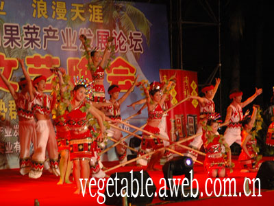 颁奖晚会节目:椰壳舞(图)