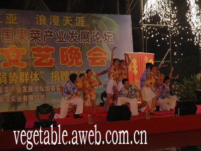 舞蹈：请到天涯海角来（图）