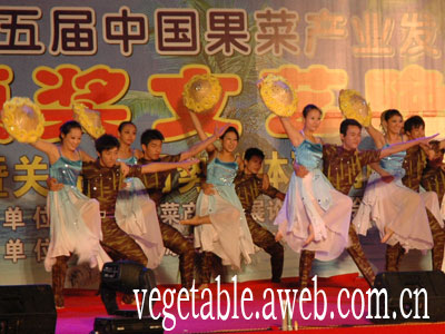 舞蹈：渔家姑娘在海边