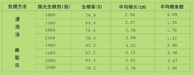 水果蓝